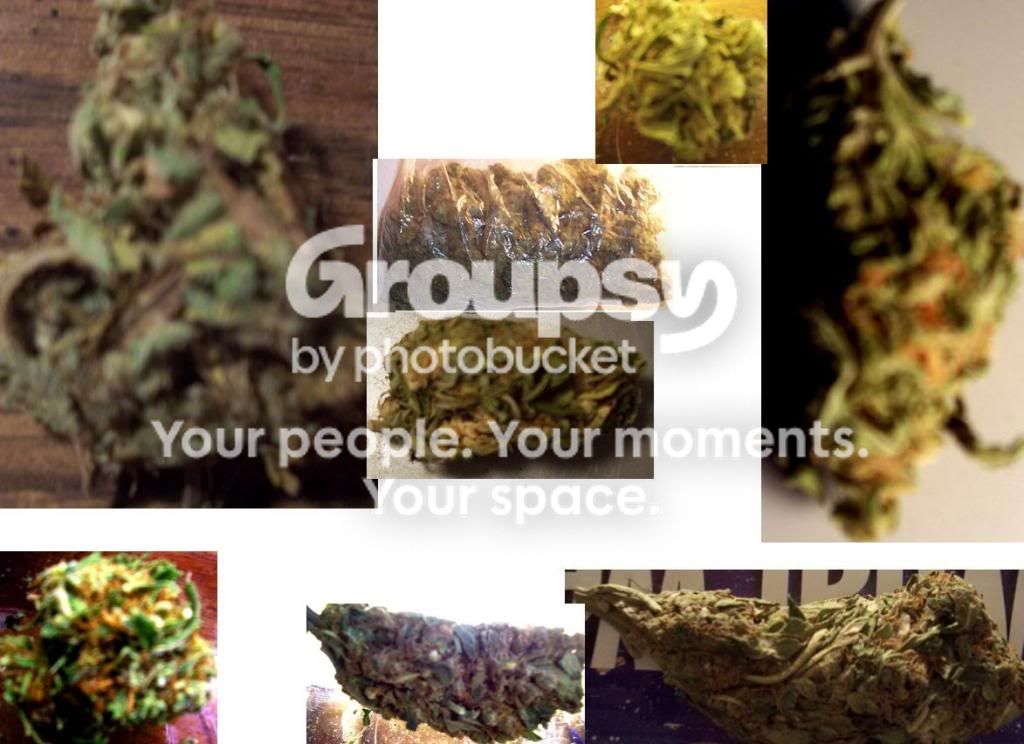 http://i490.photobucket.com/albums/rr268/fivefivesix556/weeeeed.jpg