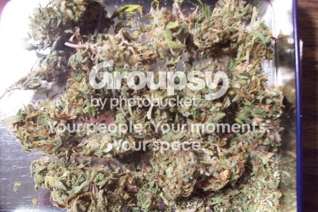 http://i490.photobucket.com/albums/rr268/fivefivesix556/100_0936.jpg