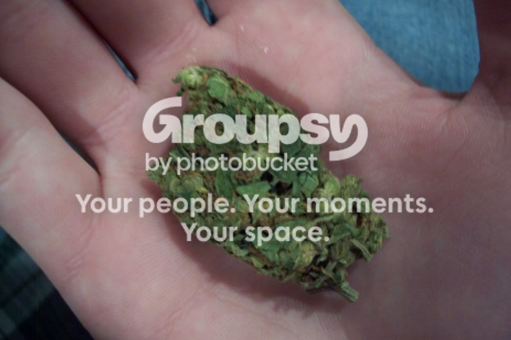 http://i490.photobucket.com/albums/rr268/fivefivesix556/000_1738.jpg