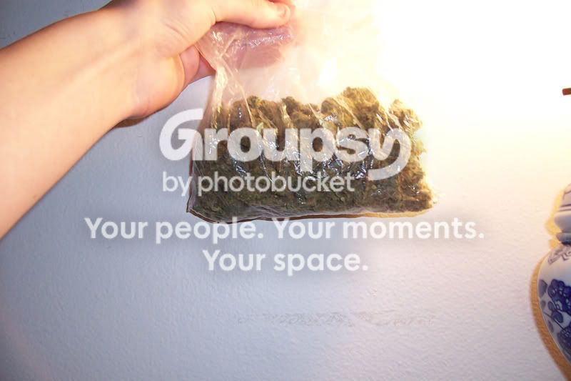 http://i490.photobucket.com/albums/rr268/fivefivesix556/100_1110.jpg