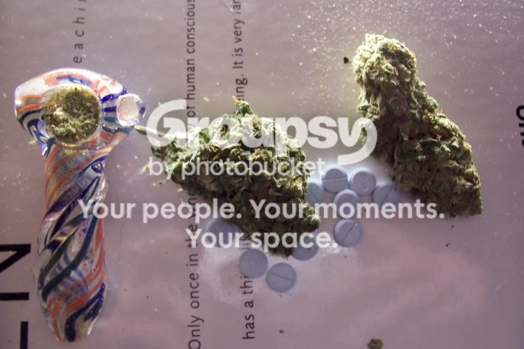 http://i490.photobucket.com/albums/rr268/fivefivesix556/000_1777.jpg